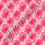 Colour:J