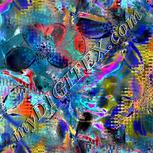 Colour:F