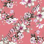 Colour:B