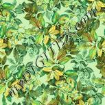 Colour:K