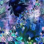 Colour:F