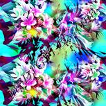 Colour:B