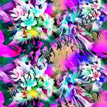 Colour:C