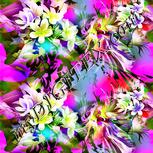 Colour:D