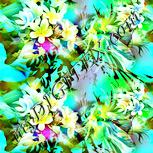Colour:K