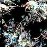 Colour:F