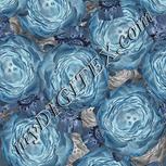 Colour:F
