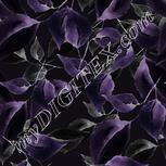 Colour:F