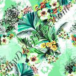Colour:C