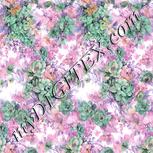 Colour:B