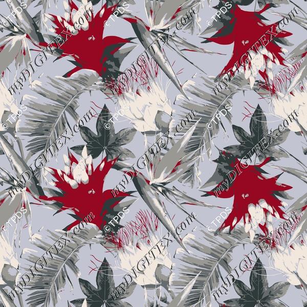 IMAGE ID 32