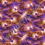 Colour:F