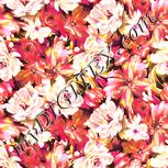 Colour:J
