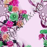 Colour:B