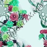 Colour:C