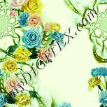 Colour:K