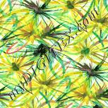Colour:K