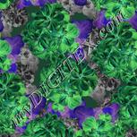 Colour:F