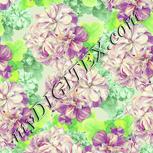 Colour:K