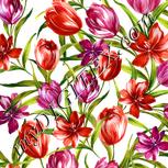Colour:A