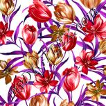 Colour:B