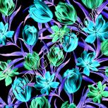 Colour:F