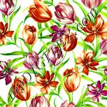 Colour:K