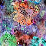 Colour:F
