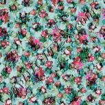 Colour:B