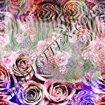 Colour:B