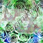 Colour:C