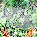 Colour:D