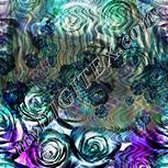 Colour:F