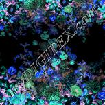Colour:F