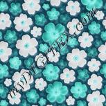 Colour:F