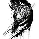 Colour:D