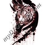 Colour:J