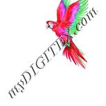 Colour:B
