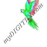 Colour:C