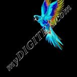Colour:F