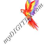 Colour:J