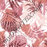 Colour:J