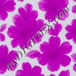Colour:C