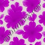 Colour:D