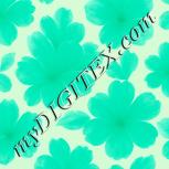 Colour:K