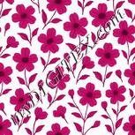 Colour:C