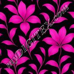 Colour:B