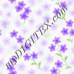 Colour:A