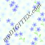 Colour:K