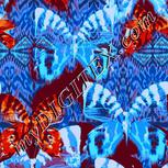 Colour:F